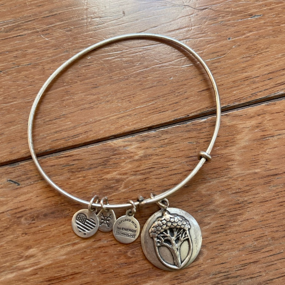 Alex and Ani Rafaelian Gold Unexpected Miracles Acorn Charm Bangle Bracelet